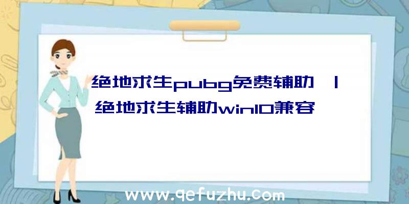 「绝地求生pubg免费辅助」|绝地求生辅助win10兼容